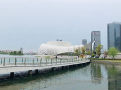 -金沙湖公园