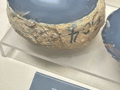 -安徽省地质博物馆