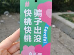 -南山植物园