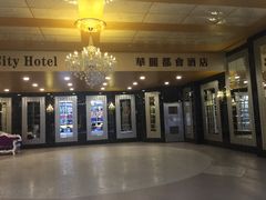 -香港华丽都会酒店