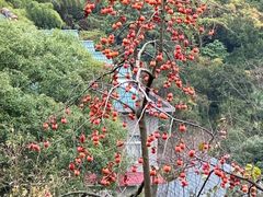 -石燕湖生态旅游景区