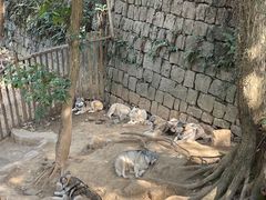 -杭州长乔极地海洋公园