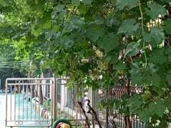 -幸福泉幼儿园(秋实东街)