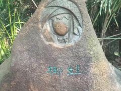 -呀诺达热带雨林