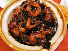 吉士红烧肉-老吉士酒家(天平路店)