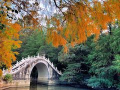 -深圳仙湖植物园