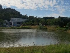 -王借岗森林公园