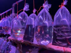 -中环花鸟鱼虫市场