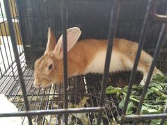 -三只松鼠生活馆(芜湖弋江金鹰店)