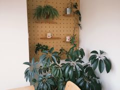 -DEEP COFFEE(瑞光烘焙工厂店)