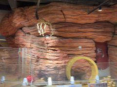 -正佳雨林生态植物园