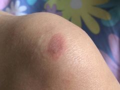 -红岸碳烤齐齐哈尔原味生态烤肉