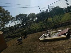 -长兴岛郊野公园农场食堂