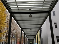 -四川大学(望江校区)