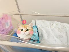 -苏州市立医院本部母子保健中心