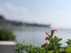 -伙工殿餐厅(吉大店)