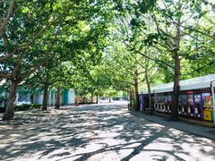 -朝阳公园游乐园