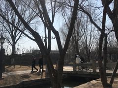 -春风习习