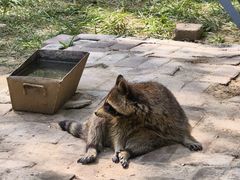 -青藏高原野生动物园