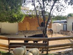 -HERRE·FARM 赫尔露营农场·团建聚会包场