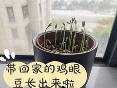 -饵块食光·云南有机手作饵块