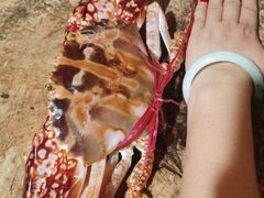 -三亚火车头万人海鲜广场