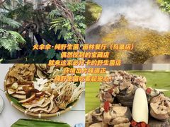 -西双版纳原始森林公园