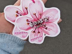 -顾村公园