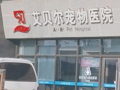-艾贝尔宠物医院·24H转诊中心·肿瘤猫专科(江宁双龙店)