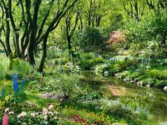 -上海共青森林公园