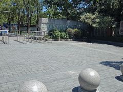 -吴淞炮台湾湿地森林公园烧烤区