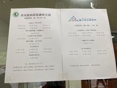 -西双版纳原始森林公园