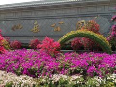 -仙岳公园