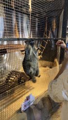 -酷嗒动物文化乐园(cutezoo西溪乐天城店)