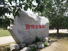 -御林古桑园