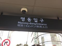 -乐天免税店(明洞店)