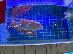 -牛天下·牛肉·海鲜·打边炉·融合菜