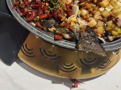 -锦尚阁烤鱼(望京新荟城店)