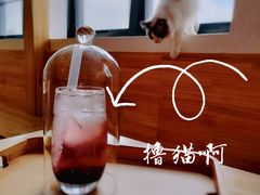 -猫腻·猫咖·撸猫馆(星光大道店)