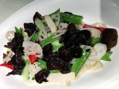 木耳荷兰炒豆藕片-马仕玖煲·融合菜·酥不腻烤鸭(人大店)