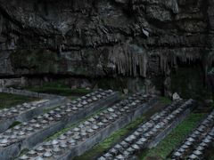 -九皇山景区