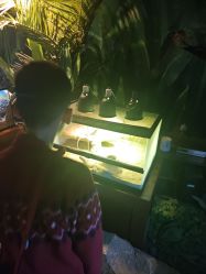 -酷嗒动物文化乐园(cutezoo西溪乐天城店)