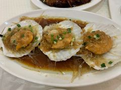 扇贝-金时代顺风大酒店(协泰店)
