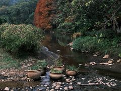 -深圳仙湖植物园