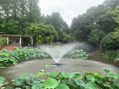 -郑和公园