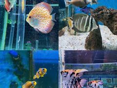 -荆州中山公园动物园