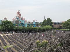 -季高兔窝窝亲子园(上海薰衣草公园店)