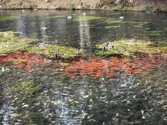 -水磨沟公园