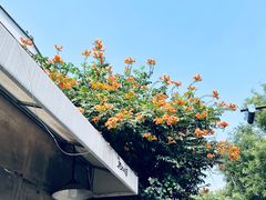 -南锣鼓巷