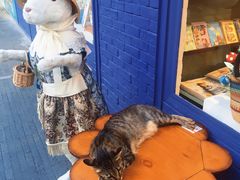 -恋物百货商店(华侨城店)